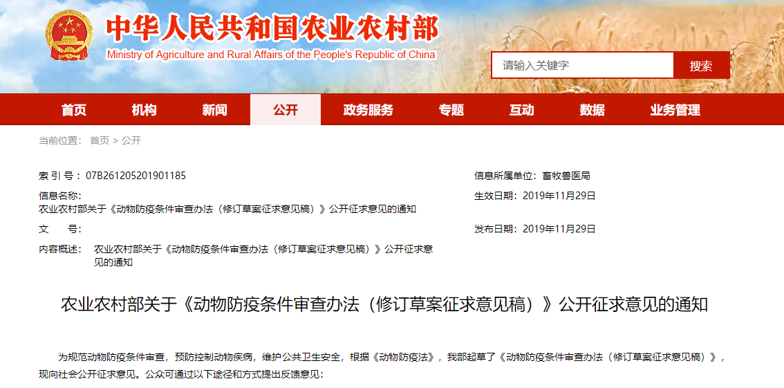 ‘开元棋牌’“吉吉国王”莫名大火,原来出自韩涵之手,队友:这把拿猴乱杀(图2) 开元棋牌